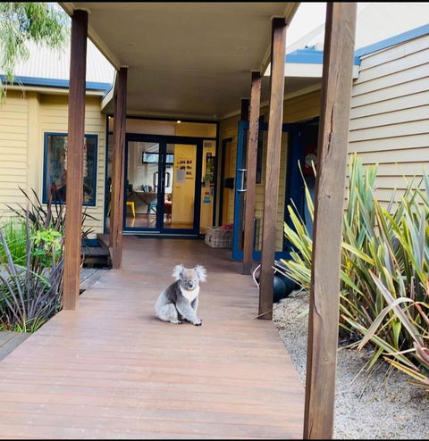 Sandpiper Motel Apollo Bay - Accommodation Mooloolaba 3