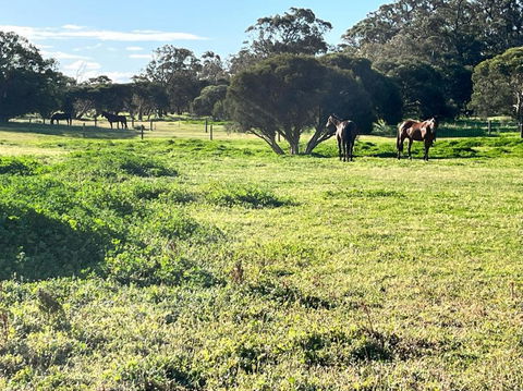 Secluded Rural Retreat In Southwest WA - Accommodation Mooloolaba 3