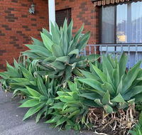 Beautiful Bedroom in Bentleigh East - Accommodation Mooloolaba