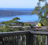 Bed in the Treetops BB - Accommodation Mooloolaba