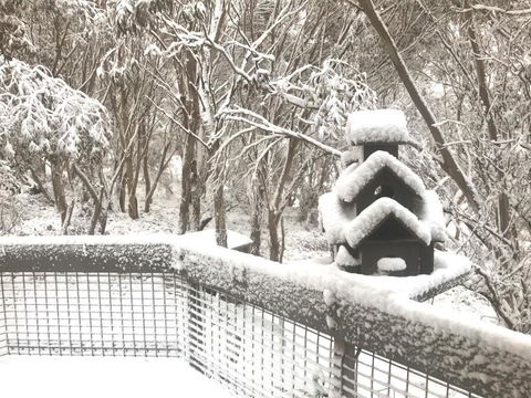 Belltrees - Accommodation Mooloolaba 1