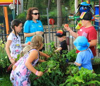 Book Lemon Tree Passage Accommodation Vacations Accommodation Mooloolaba Accommodation Mooloolaba