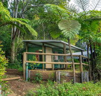 Binna Burra Rainforest Campsite - Accommodation Mooloolaba
