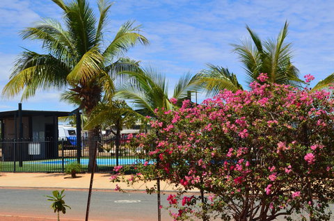 Black Rock Tourist Park - Accommodation Mooloolaba 2