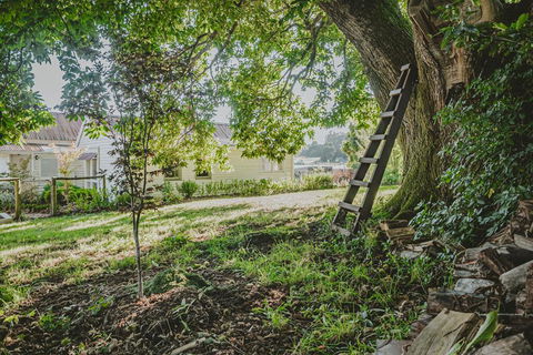 Blacksmiths Cottage - Accommodation Mooloolaba 1