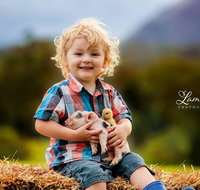 Blackwattle Farm - Accommodation Mooloolaba