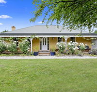 Blue Wren - Accommodation Mooloolaba