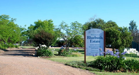 Bluebush Estate - Accommodation Mooloolaba 0