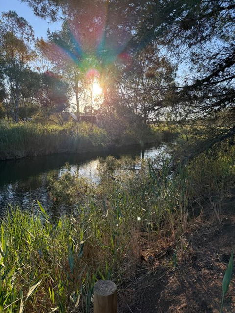 Woody House - Accommodation Mooloolaba 0