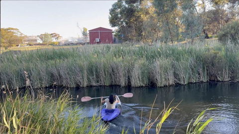 Woody House - Accommodation Mooloolaba 1
