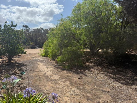 Woody House - Accommodation Mooloolaba 2