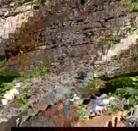 3-Day Kakadu 4WD Camping Safari from Darwin - Accommodation Mooloolaba