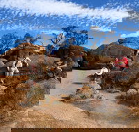 The Big Wave Rock Private Day Tour - Accommodation Mooloolaba