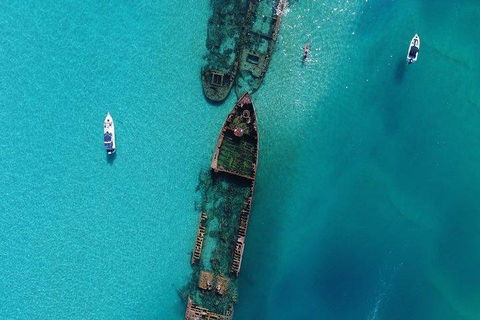 Cruise In Moreton Bay Marine Park And Moreton Island - Accommodation Mooloolaba 1