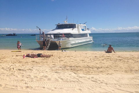 Cruise In Moreton Bay Marine Park And Moreton Island - Accommodation Mooloolaba 4