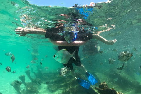 Cruise In Moreton Bay Marine Park And Moreton Island - Accommodation Mooloolaba 5