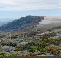 kunanyi/Mt Wellington Explorer Bus - One Way Tour - Accommodation Mooloolaba