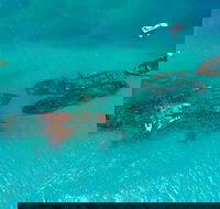 Private Tangalooma Wrecks Tour - Accommodation Mooloolaba