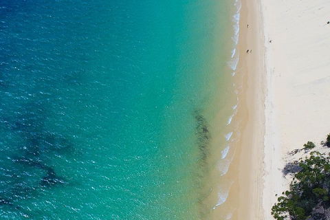 Private Tangalooma Wrecks Tour - Accommodation Mooloolaba 1