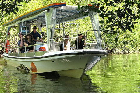 5-Day Best Of Cairns With Daintree, Kuranda, And Great Barrier Reef - Accommodation Mooloolaba 1