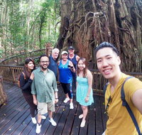 Cairns 4WD Waterfall and Rainforest Tour Including Kuranda Scenic Railway - Accommodation Mooloolaba