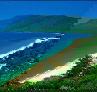 Cairns Reef and Rainforest Combo Daintree Rainforest and the Great Barrier Reef - Accommodation Mooloolaba