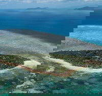 4-Day Cairns with Great Barrier Reef and Daintree Rainforest - Accommodation Mooloolaba