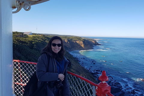 Great Ocean Road Full Day Private Experience - Accommodation Mooloolaba 1