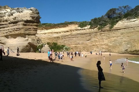 Great Ocean Road Full Day Private Experience - Accommodation Mooloolaba 3
