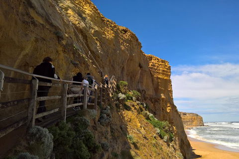 Private Express Experience - 12 Apostles - Accommodation Mooloolaba 3
