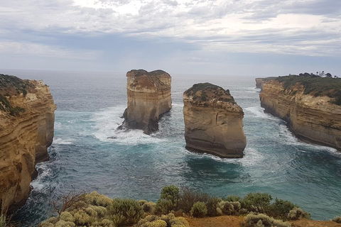 Private Express Experience - 12 Apostles - Accommodation Mooloolaba 5