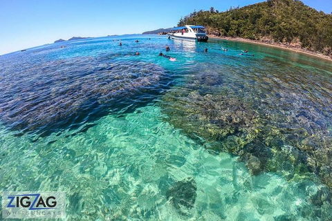 Whitehaven Beach Day Tour With Snorkel In Whitsundays Island - Accommodation Mooloolaba 5