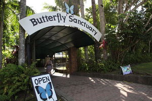 Kuranda Day Trip from Port Douglas upgrade to Skyrail & Scenic train available