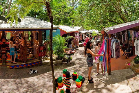 Kuranda Day Trip From Port Douglas Upgrade To Skyrail & Scenic Train Available - Accommodation Mooloolaba 2