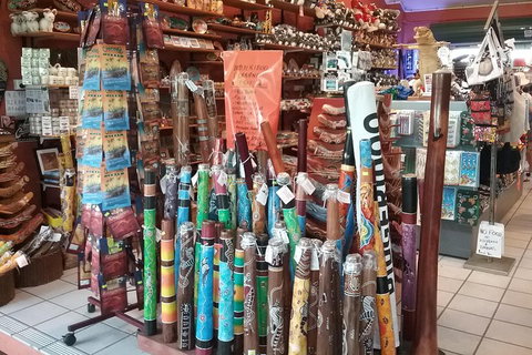 Kuranda Day Trip From Port Douglas Upgrade To Skyrail & Scenic Train Available - Accommodation Mooloolaba 3