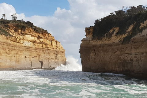 12 Apostles Tour From Warrnambool - Accommodation Mooloolaba 2