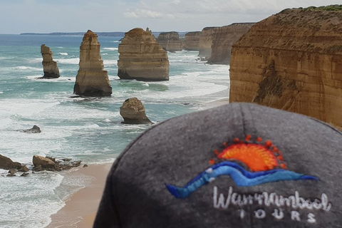 12 Apostles Tour From Warrnambool - Accommodation Mooloolaba 4