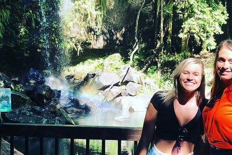 Waterfall Tour - Accommodation Mooloolaba 3