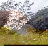3-Day Cradle Mountain Photography Workshop - Accommodation Mooloolaba