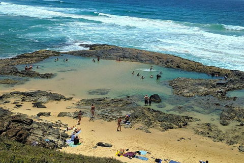Pippies 3 Days 2 Nights Fraser Island Tour - Accommodation Mooloolaba 5
