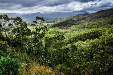 3-Day Tour To The Falls, Mountains, Lake & More Of West Coast Tasmania - Accommodation Mooloolaba 0