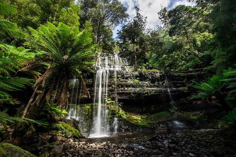 3-Day Tour To The Falls, Mountains, Lake & More Of West Coast Tasmania - Accommodation Mooloolaba 4