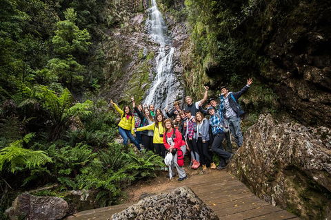 5-Day Lap Of Tasmania Tour From Hobart (flexible Ticket) - Accommodation Mooloolaba 0