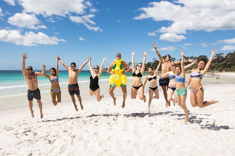 5-Day Lap Of Tasmania Tour From Hobart (flexible Ticket) - Accommodation Mooloolaba 4