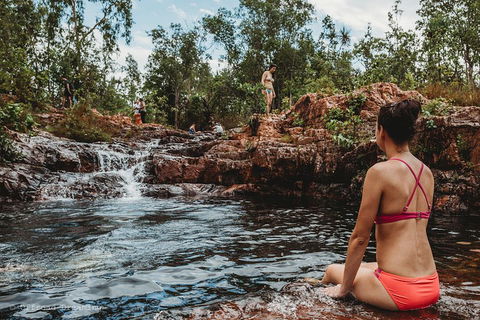 Litchfield National Park Day Tour From Darwin With Waterfalls And Buley Rockhole - Accommodation Mooloolaba 0