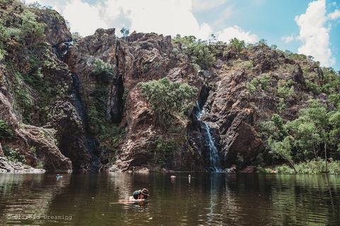 Litchfield National Park Day Tour From Darwin With Waterfalls And Buley Rockhole - Accommodation Mooloolaba 1