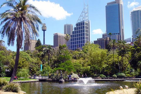 Private Sydney Half Day Tour Including Sydney Opera House And Bondi Beach - Accommodation Mooloolaba 4