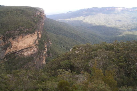 Full-Day Private Blue Mountains Tour With River Cruise - Accommodation Mooloolaba 3