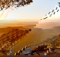 O'Reilly's  Lamington National Park incl. Alpaca Farm  Vineyard - Accommodation Mooloolaba