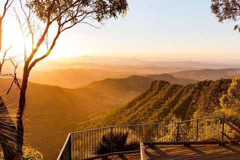 O'Reilly's & Lamington National Park Incl. Alpaca Farm + Vineyard - Accommodation Mooloolaba 0